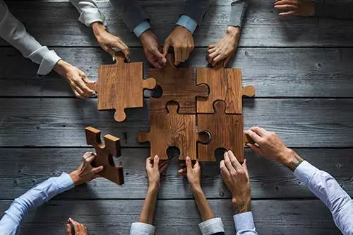 Structure and Organization