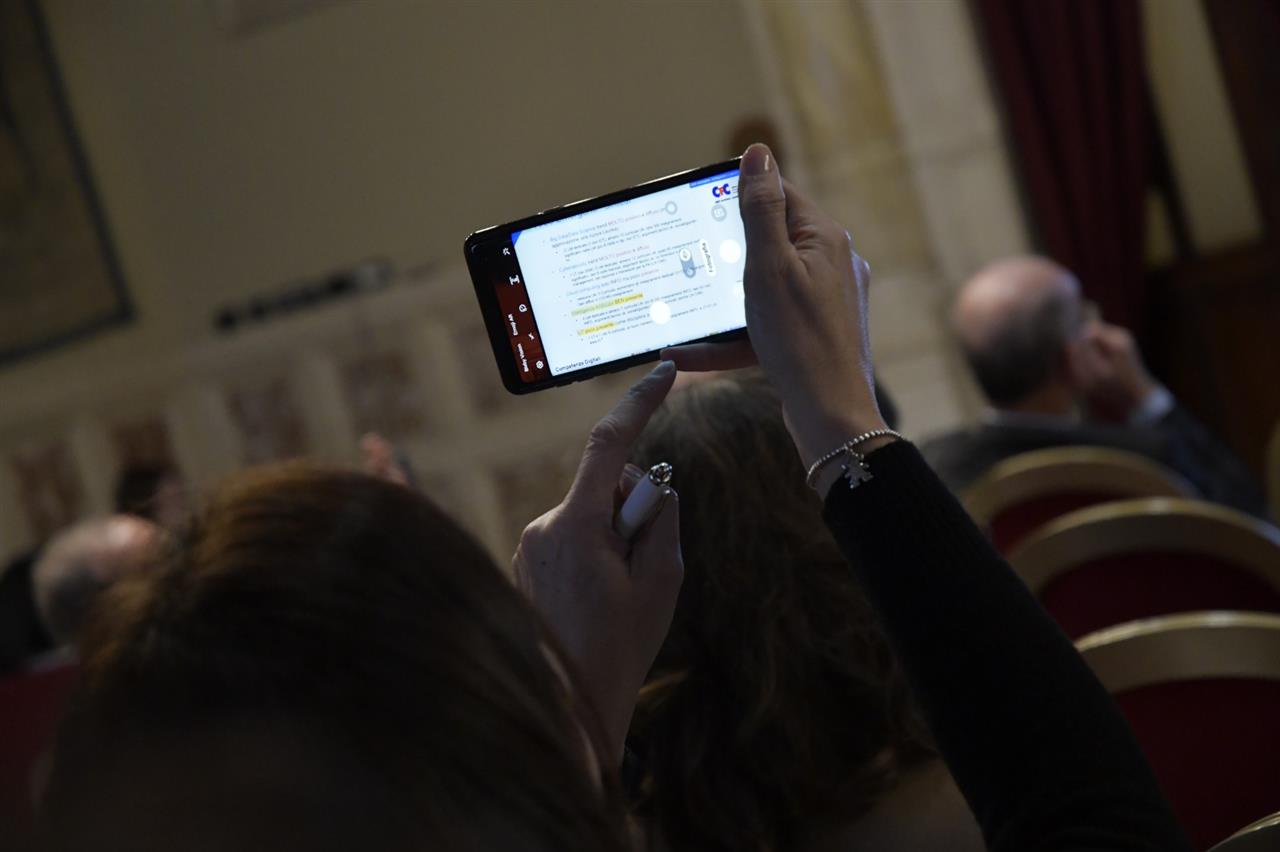 Osservatorio delle Competenze Digitali 2019