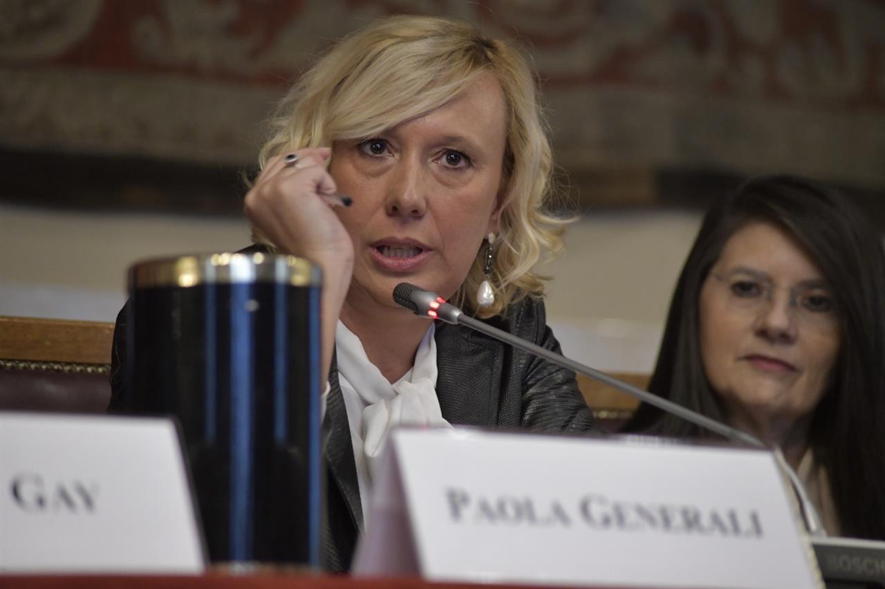 Osservatorio delle Competenze Digitali 2019