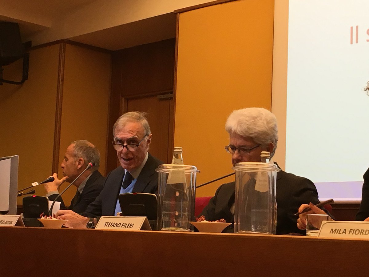 Convegno di presentazione dello Studio “Il Settore IT in Italia” Cambiamenti strutturali, opportunità e sfide